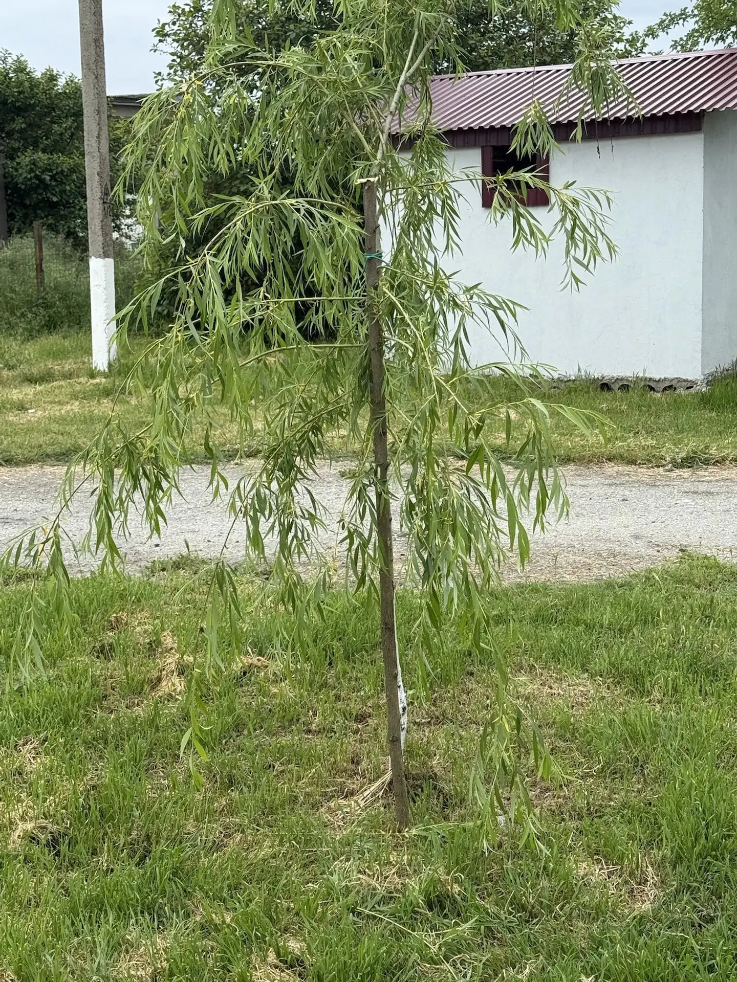 Вместе делаем наше село лучше!