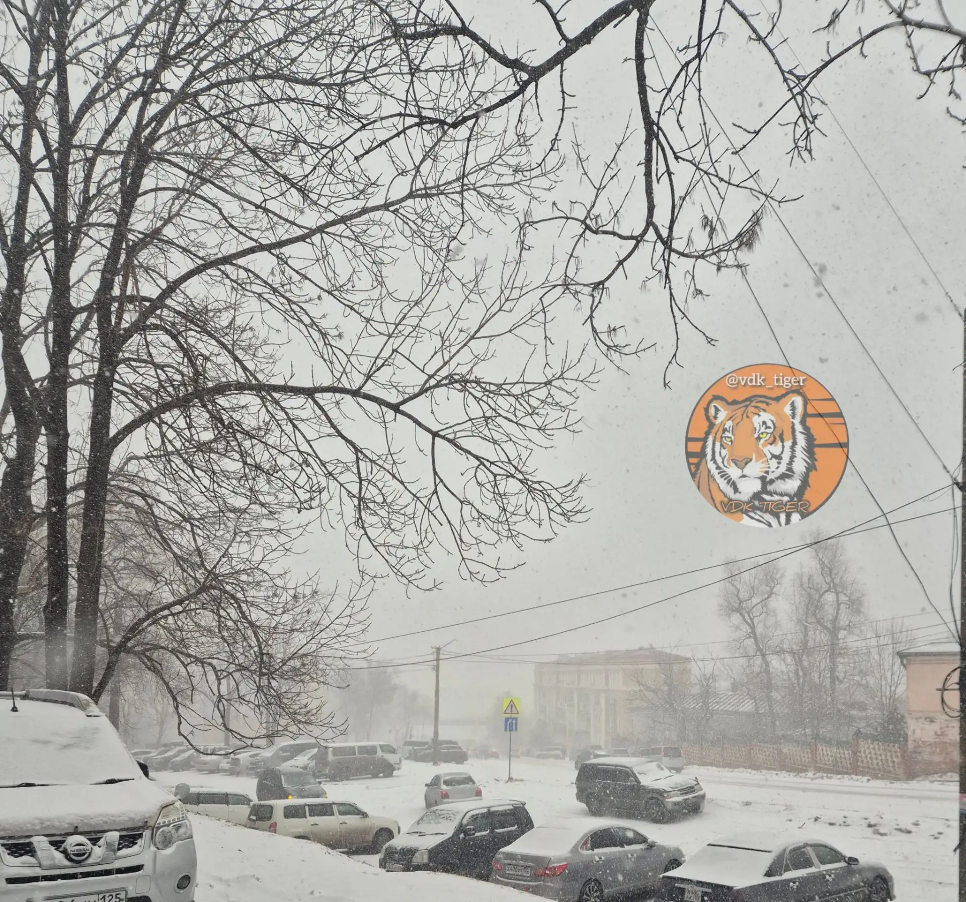❄️☃️Снег может выпасть в Приморье во второй половине октября.