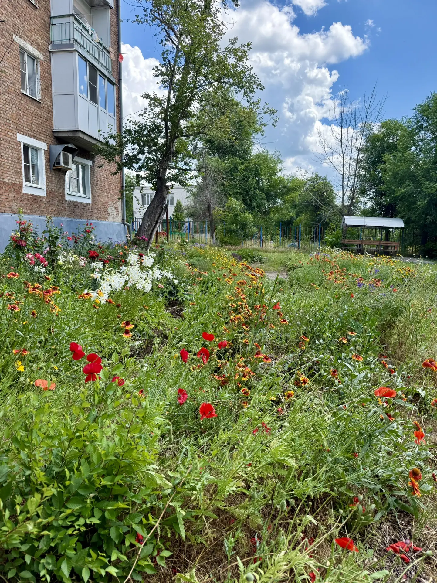 Доброе утро, Красный Сулин! 🌸
_______________  

Погода 19 июня:                                   