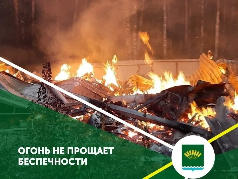 С 13 июня и до особого распоряжения в лесном фонде республики действует особый противопожарный режим
