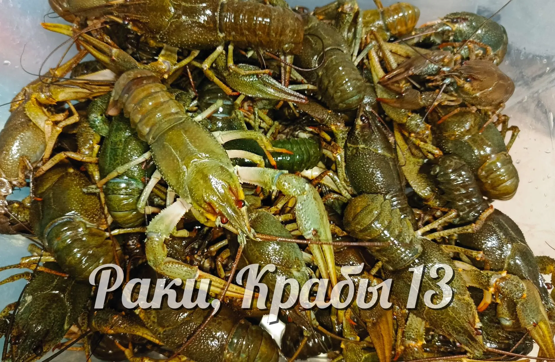 Устройте раковую субботу! 💯🔥