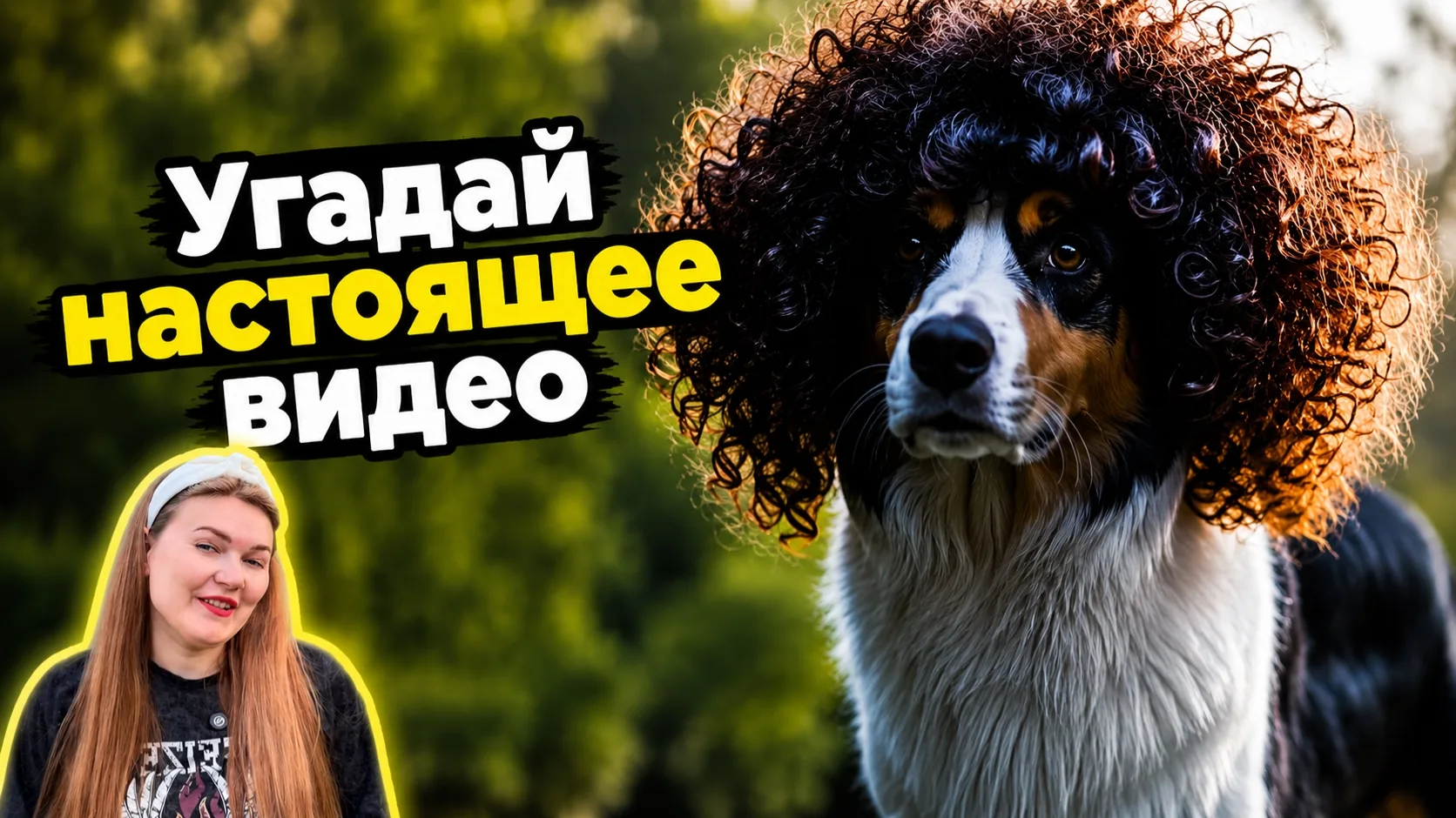 Ты НЕ СМОЖЕШЬ угадать где настоящее видео!