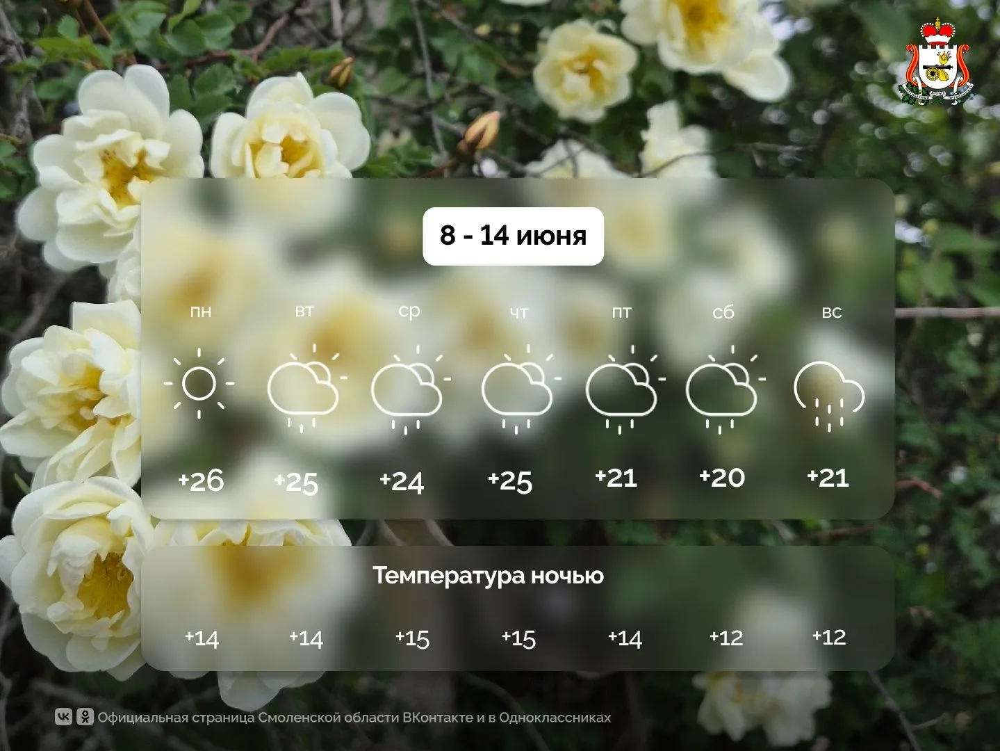 ☀️ Желаем вам хорошего и продуктивного дня! 💪📅А чтобы неделя прошла комфортно, по тра...