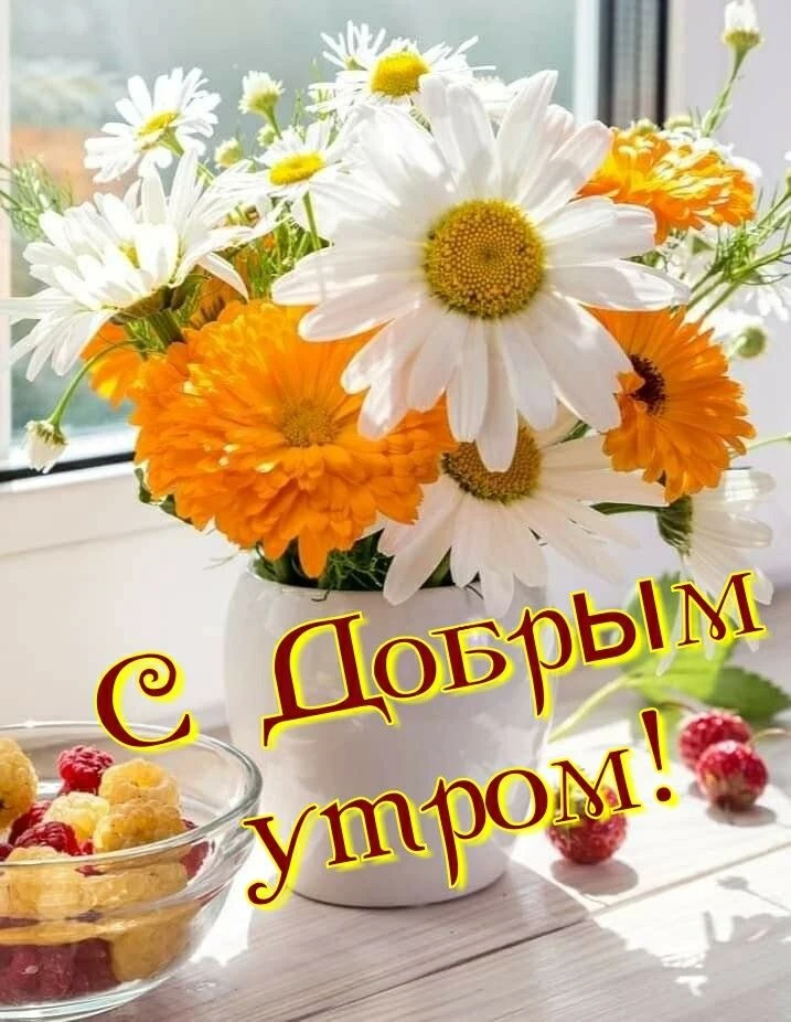Утра доброго, нежного!.