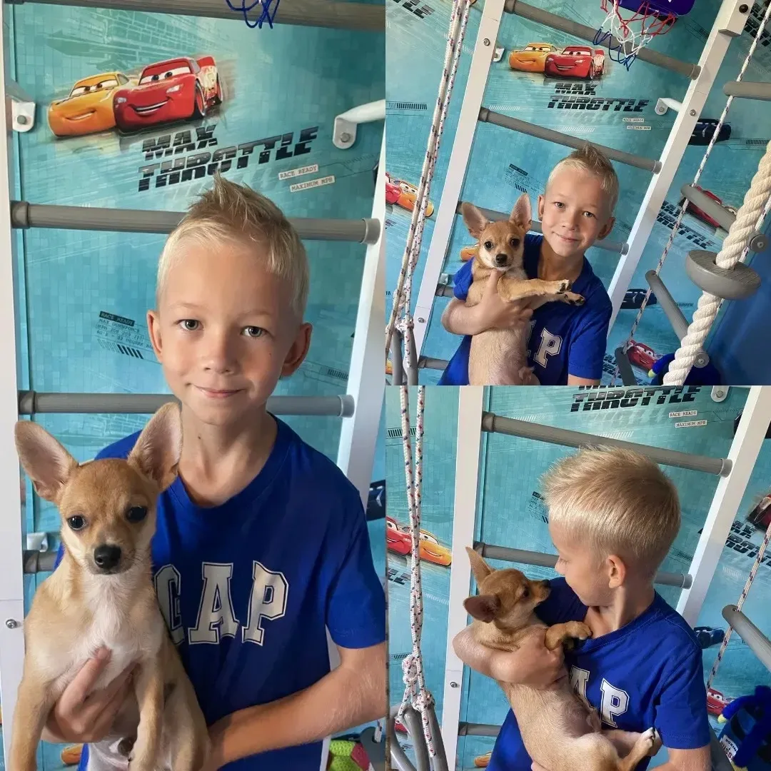 Доброе пушистое утро! ☀️🐾