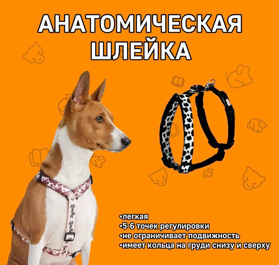 А как должна выглядеть безопасная шлейка? 🐕