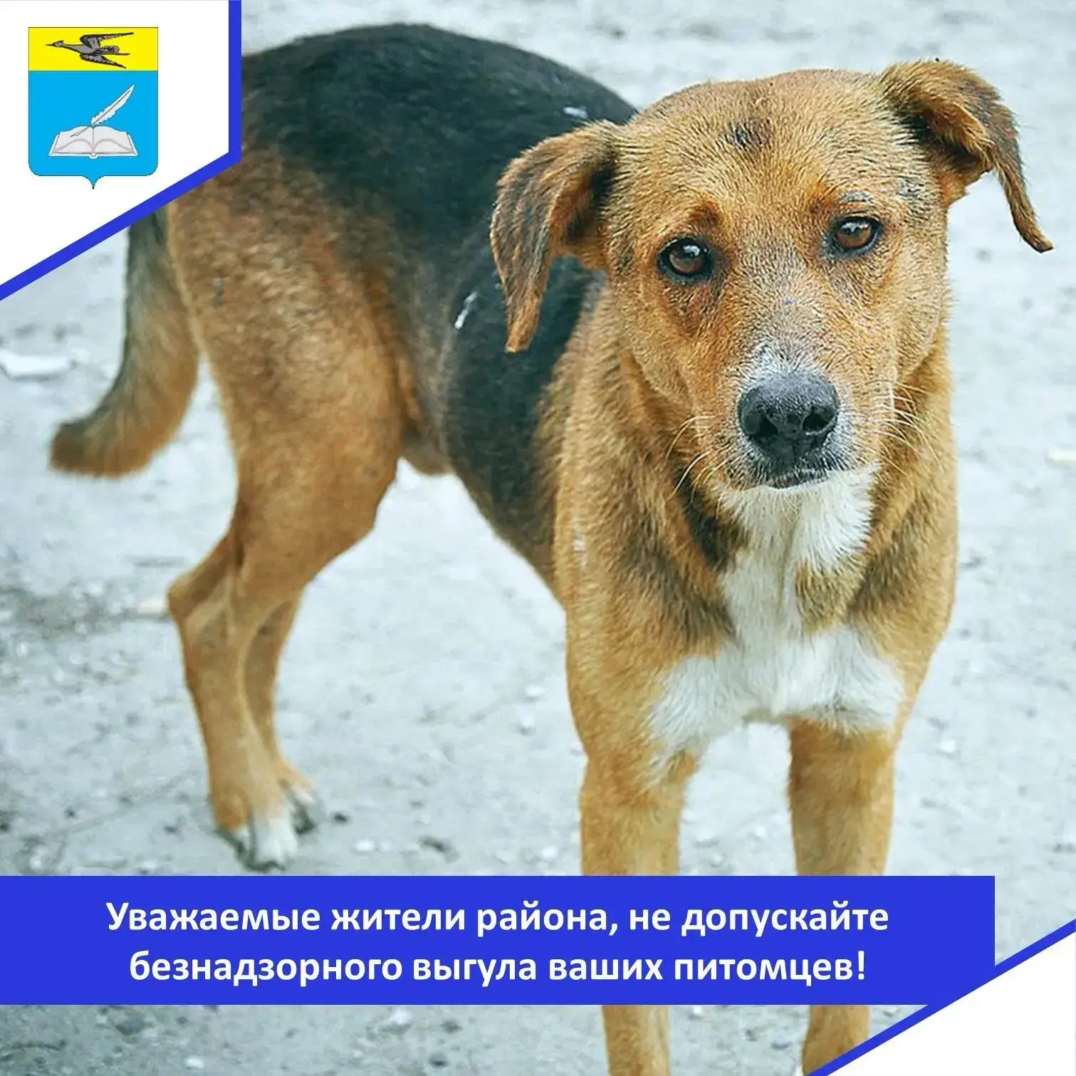 Уважаемые жители района, не допускайте безнадзорного выгула ваших питомцев! Убедительна...