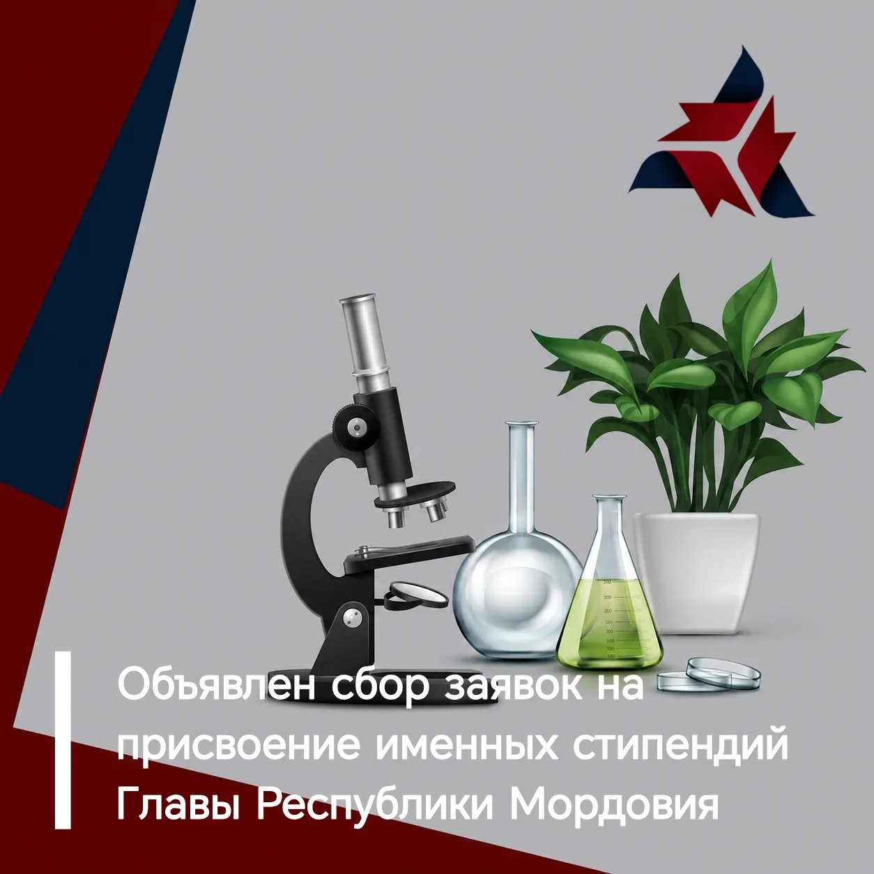 🔬 Согласно Указу Главы РМ от 20 мая 2010 года, студенты вузов, обучающиеся по приорите...