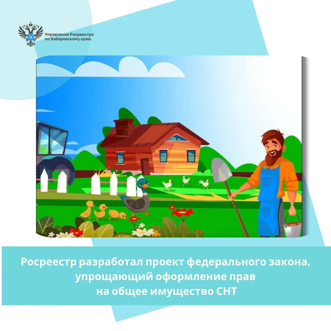 Дороги, сети и площадки в СНТ: оформление без лишних хлопот