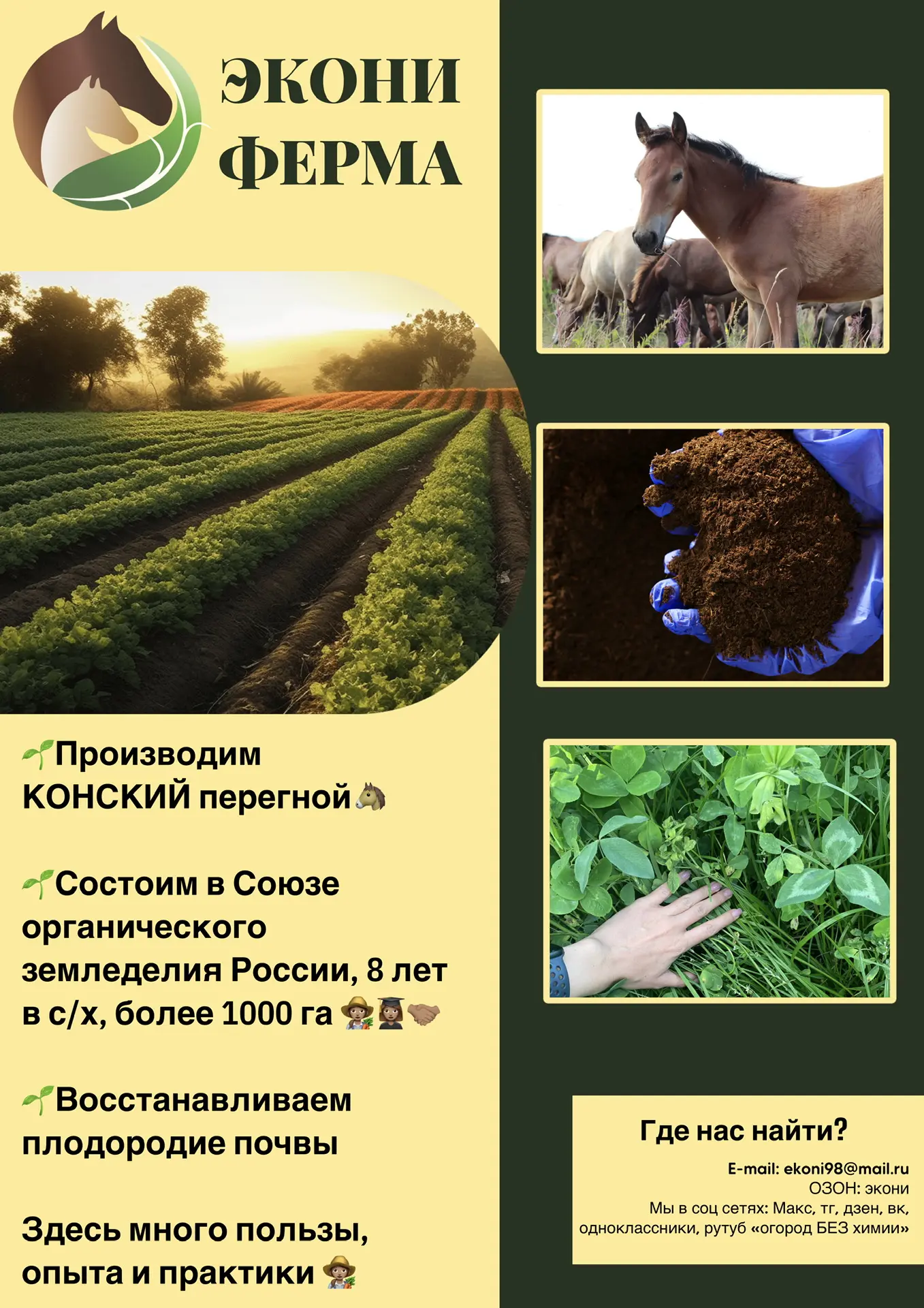 МЫ В СОЦ СЕТЯХ: