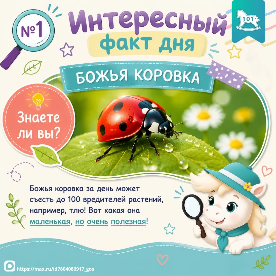 🧐 ЭкоМинутка: серия