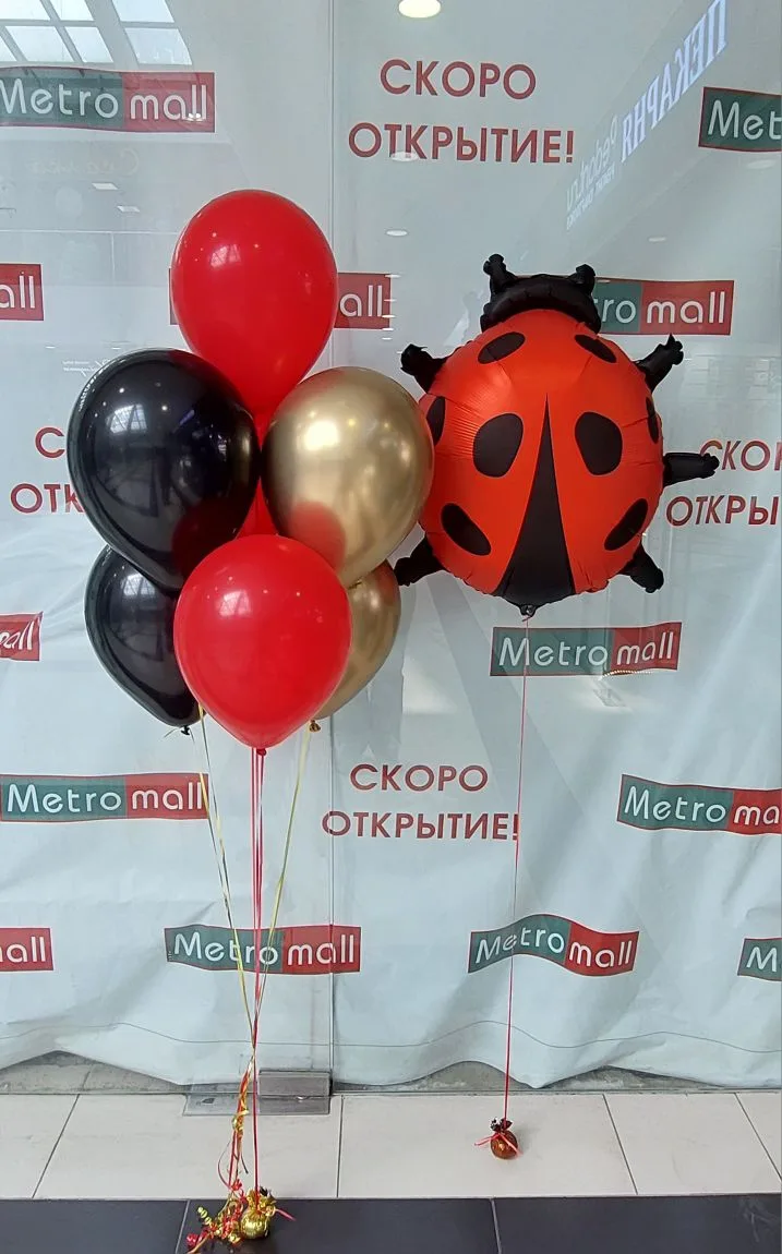 Очаровательная божья коровка спешит поздравить с Днем рождения, а поможет ей яркий фонт...
