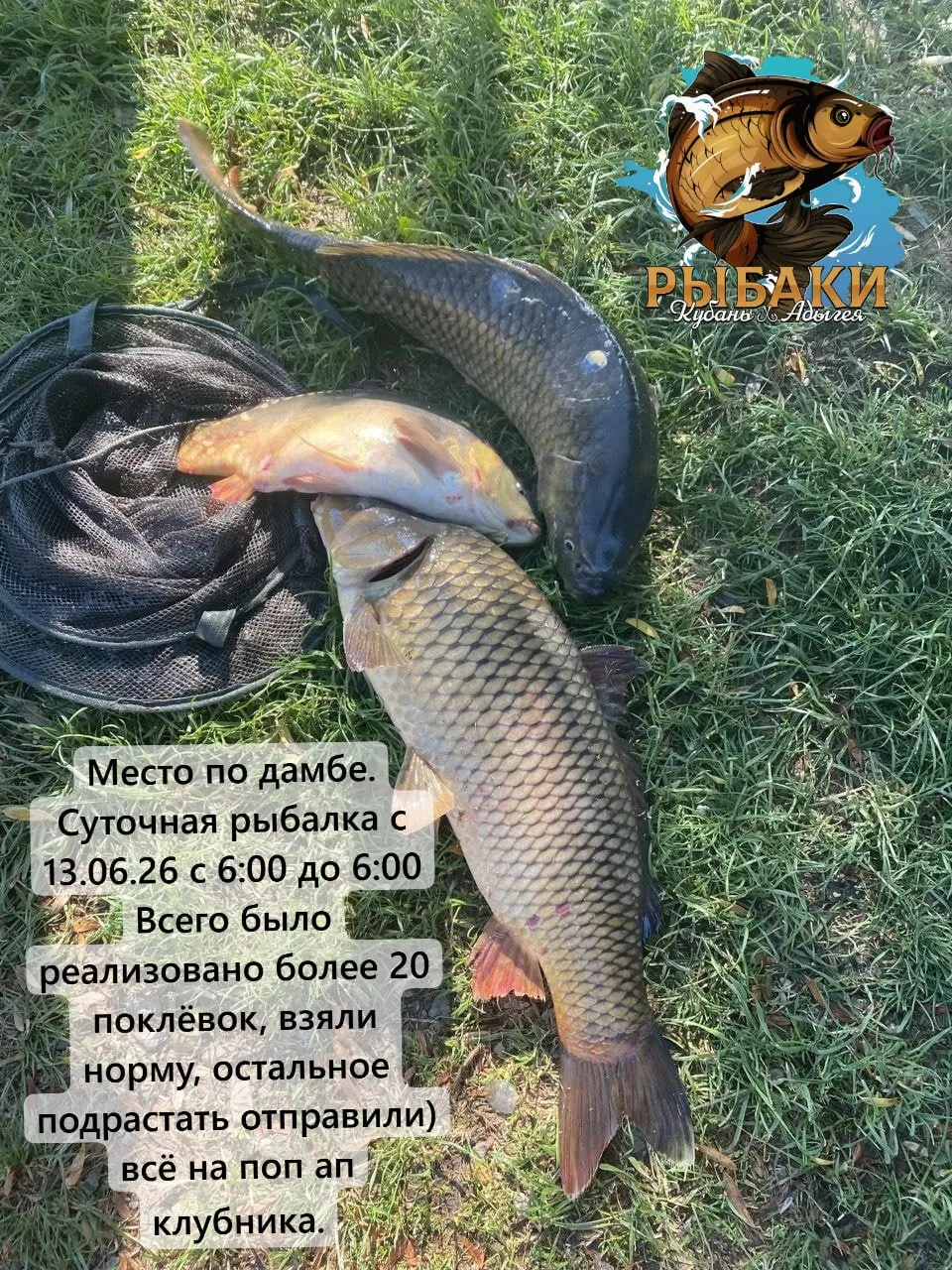 ДОБРЫЙ БОЦМАН

▫️инфо о водоеме в ТГ
▪️инфо о водоеме в max
🎁 конкурс отчетов, июнь

#добрыйБоцман 