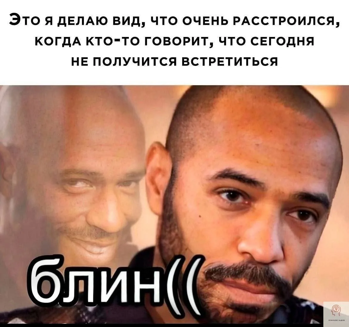 Кукуха в отъезде 🐦