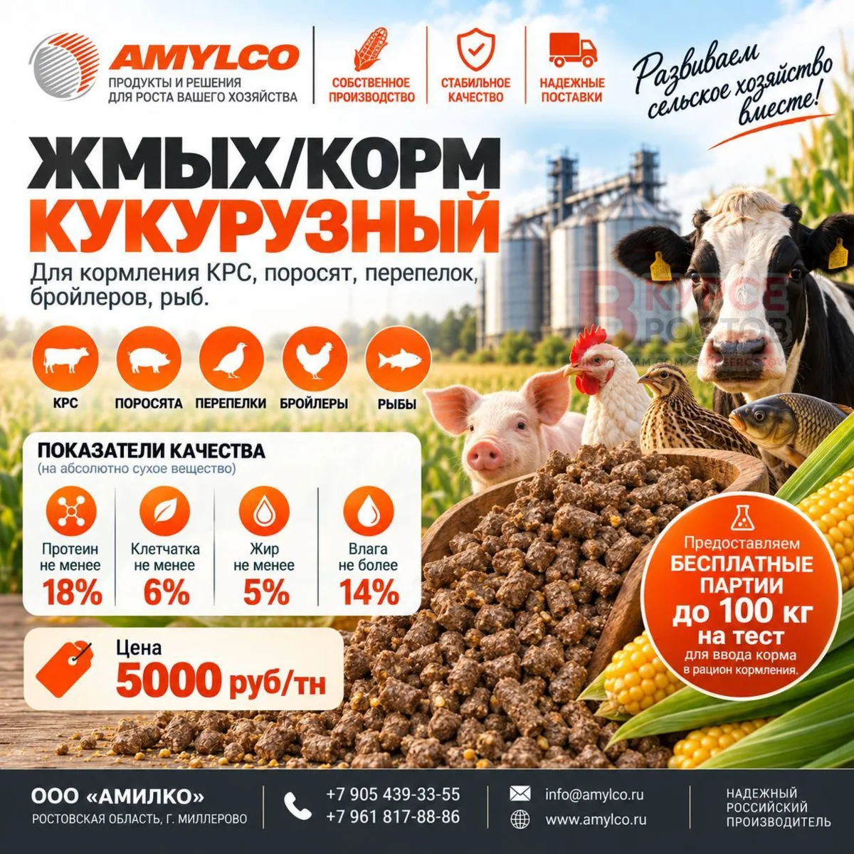 🌽 КУКУРУЗНЫЙ КОРМ / ЖМЫХ — 5 000₽/ТОННА