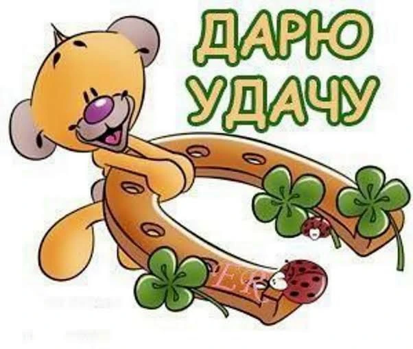 4 июня одиннадцатиклассники будут сдавать ЕГЭ по русскому. Как провести оставшийся день...