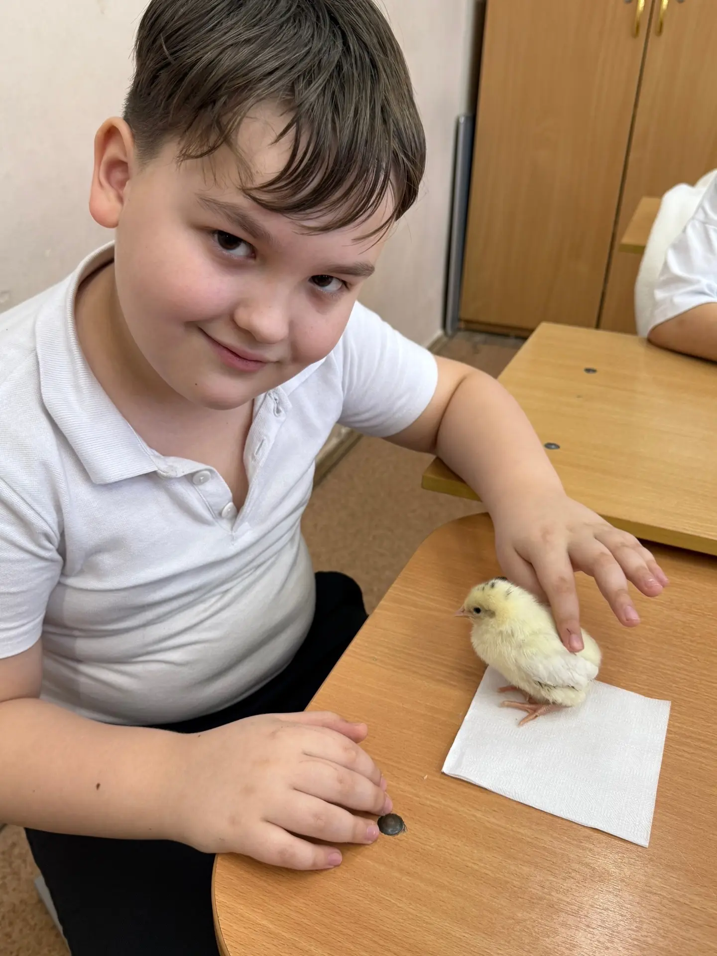 Наука на кончиках пальцев🧪🐣  3 «А» класс окунулся в удивительный мир эмбриологии птиц! 🦜  Что было н