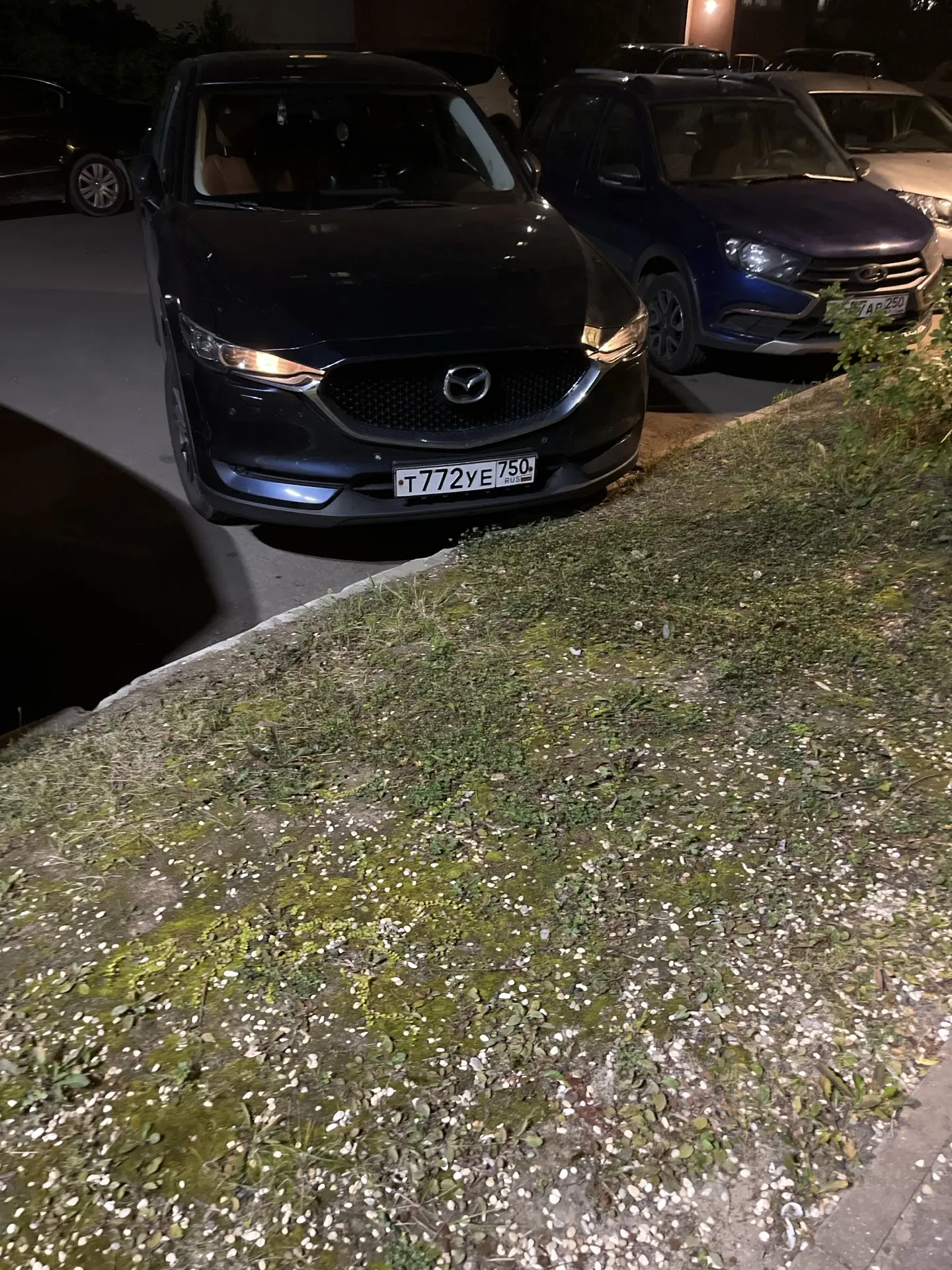 Свет не выключил