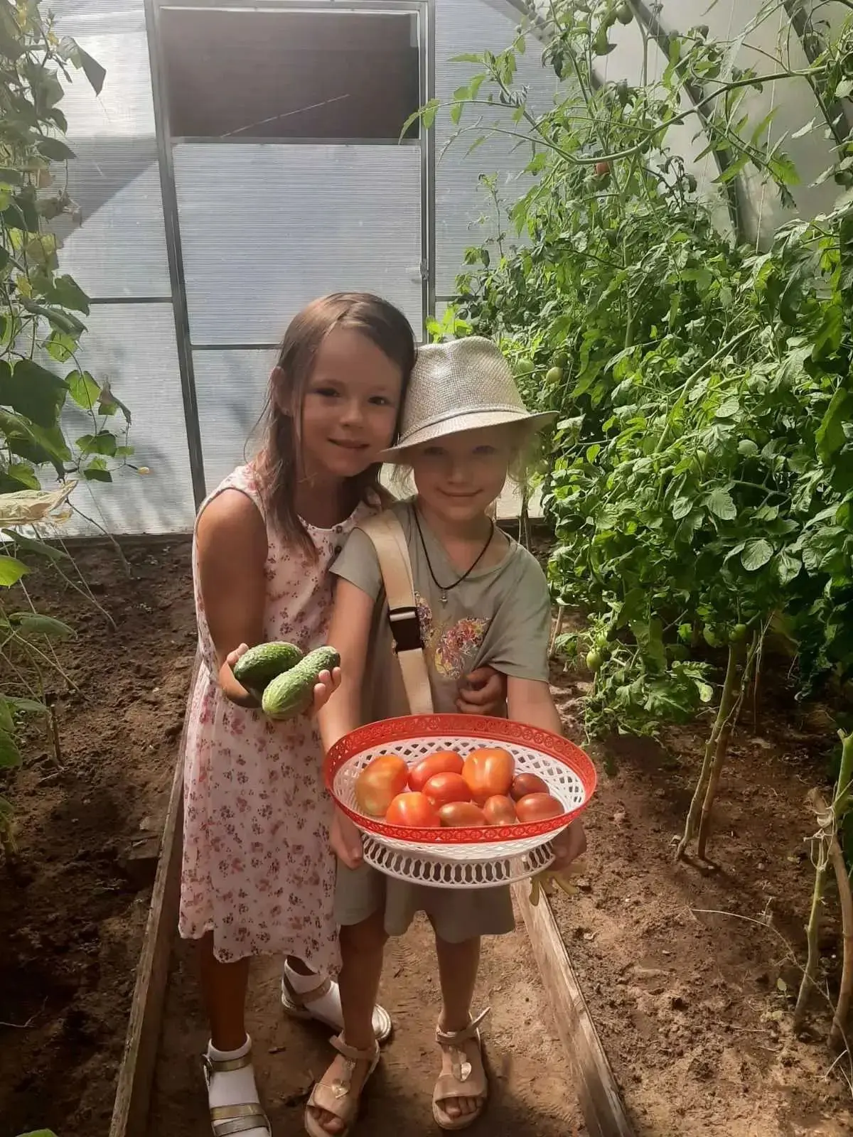🍅Сбор урожая в теплице Центра развития ребёнка - детский сад № 226 - это наглядный рез...