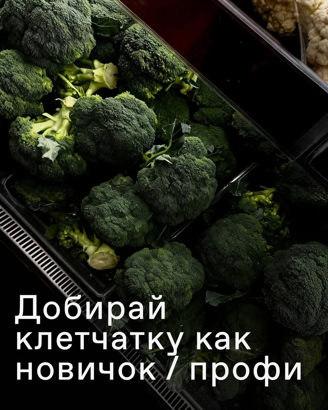 Клетчатка важна для здорового пищеварения, но у многих с ней сложные отношения: непонят...