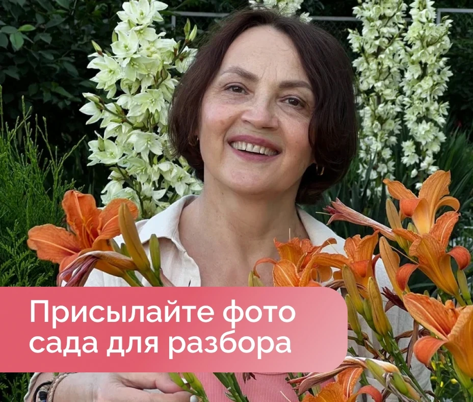 Садовый сезон подходит к концу. Насколько вы довольны прошедшим сезоном? Все ли компози...
