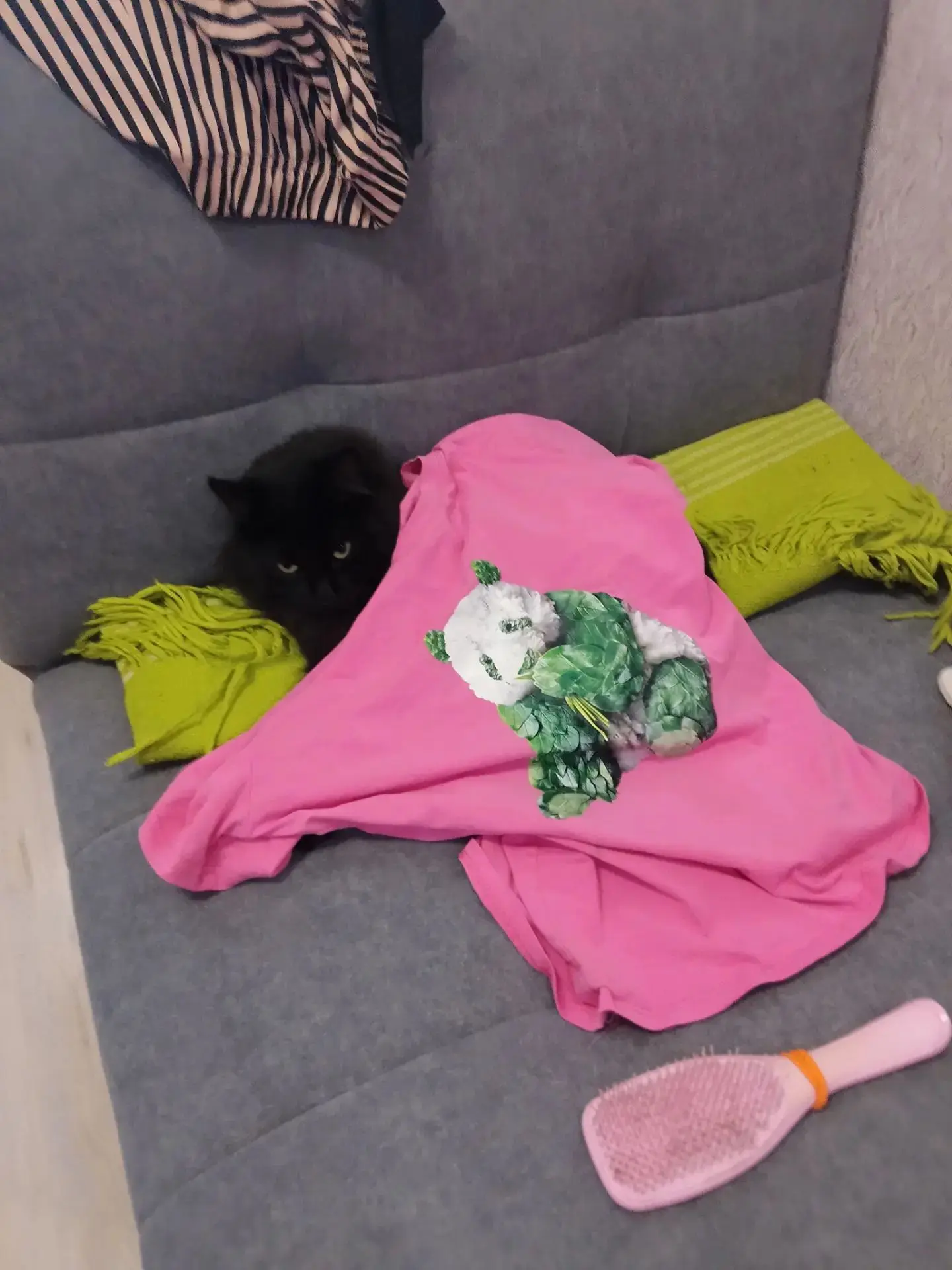 Ложимся спать 🛏️🐱