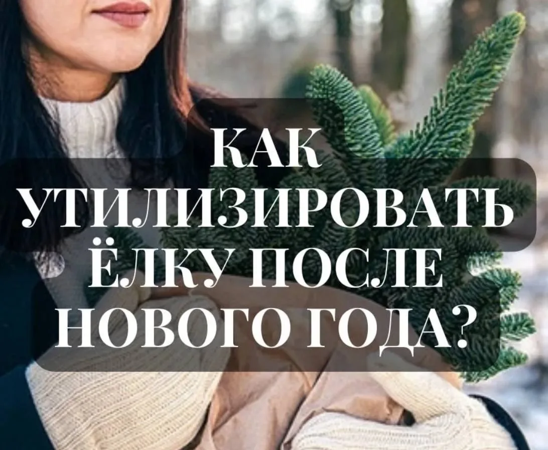 🚙СДАЙ ЁЛКУ НА ПЕРЕРАБОТКУ!