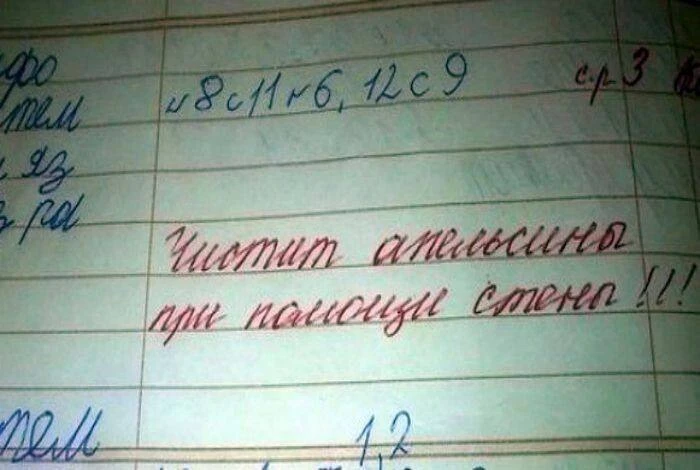 Оценки за поведение в школе нужны или это лишнее? 🤔