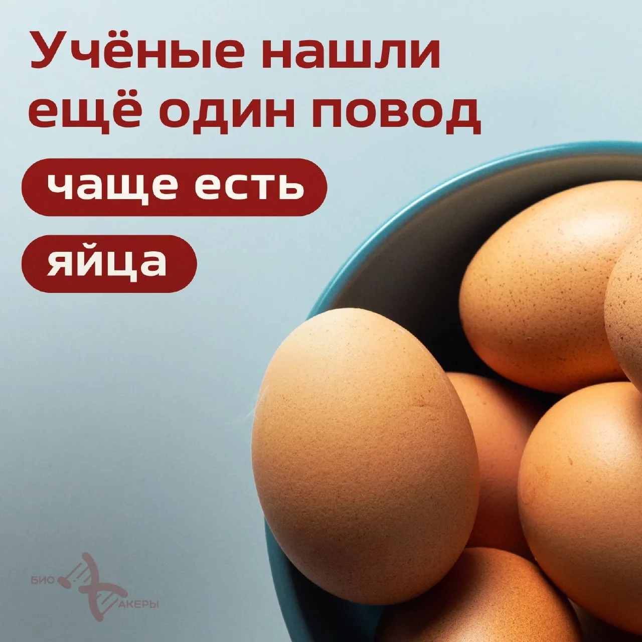 Яйца могут защищать мозг от старения. Новое исследование показало, что регулярное употр...