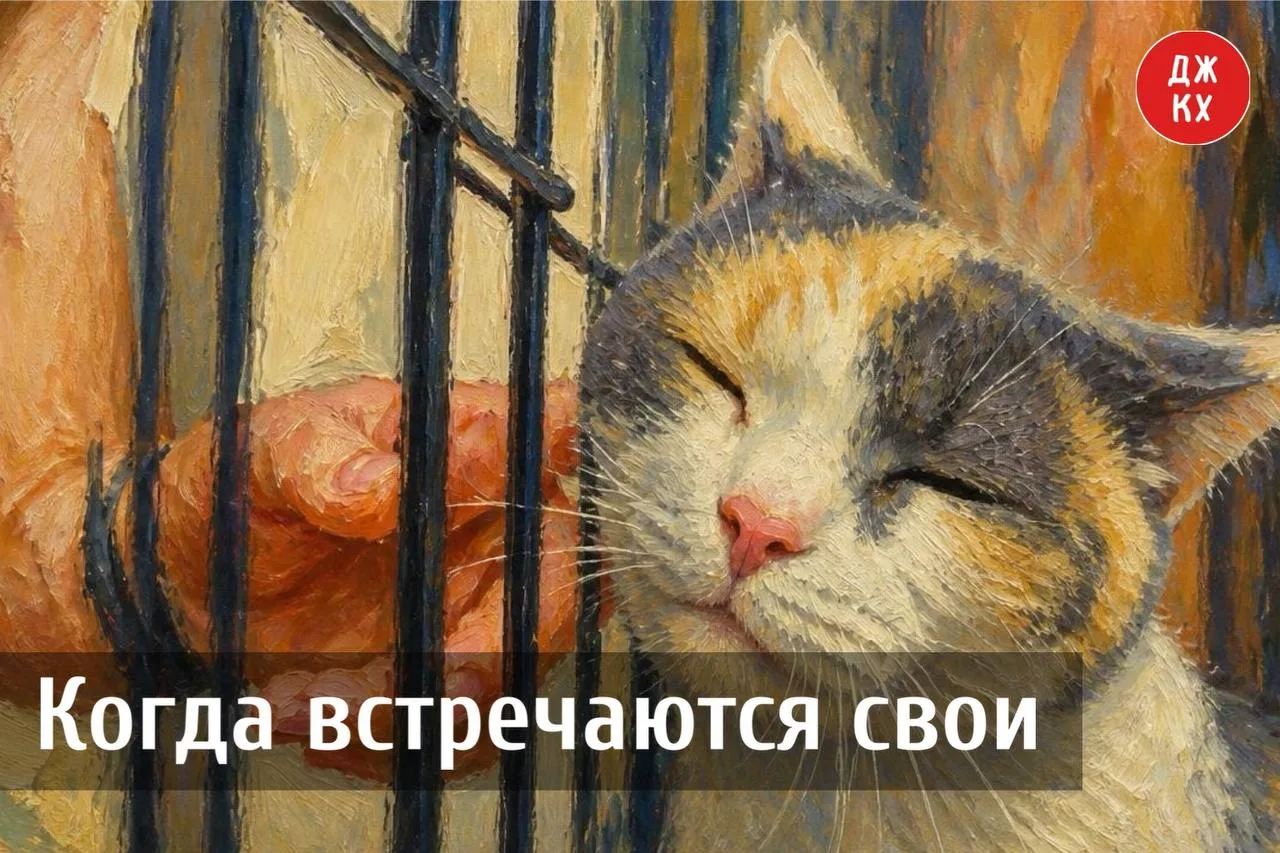 Ваша собака у нас!