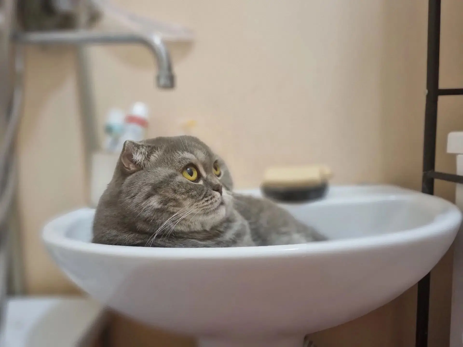 💧 Часть Сеймского округа Курска 8 октября останется без холодной воды