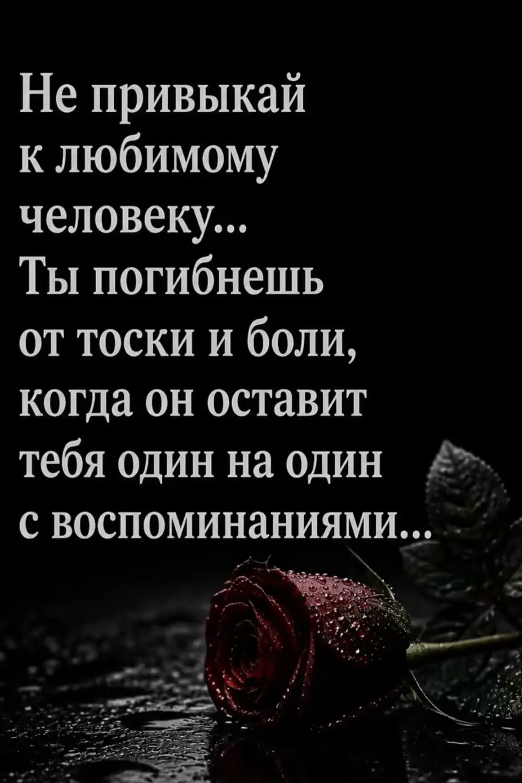 Мудрость слов | цитаты Мудрость слов | цитаты