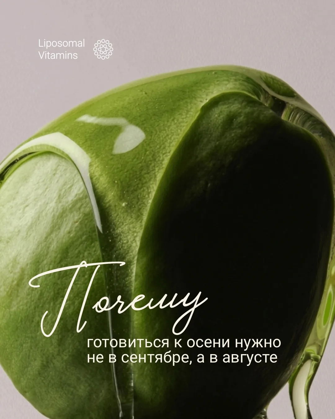 Почему готовиться к осени нужно не в сентябре, а в августе?