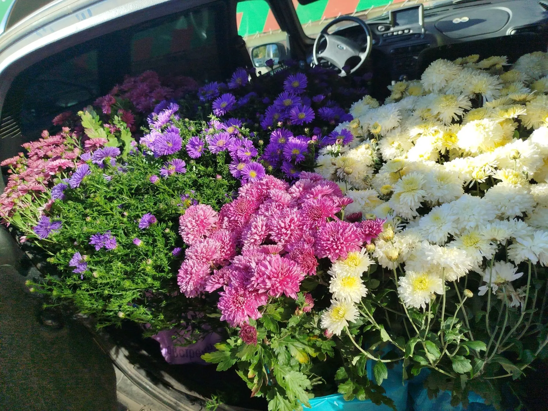 Фото