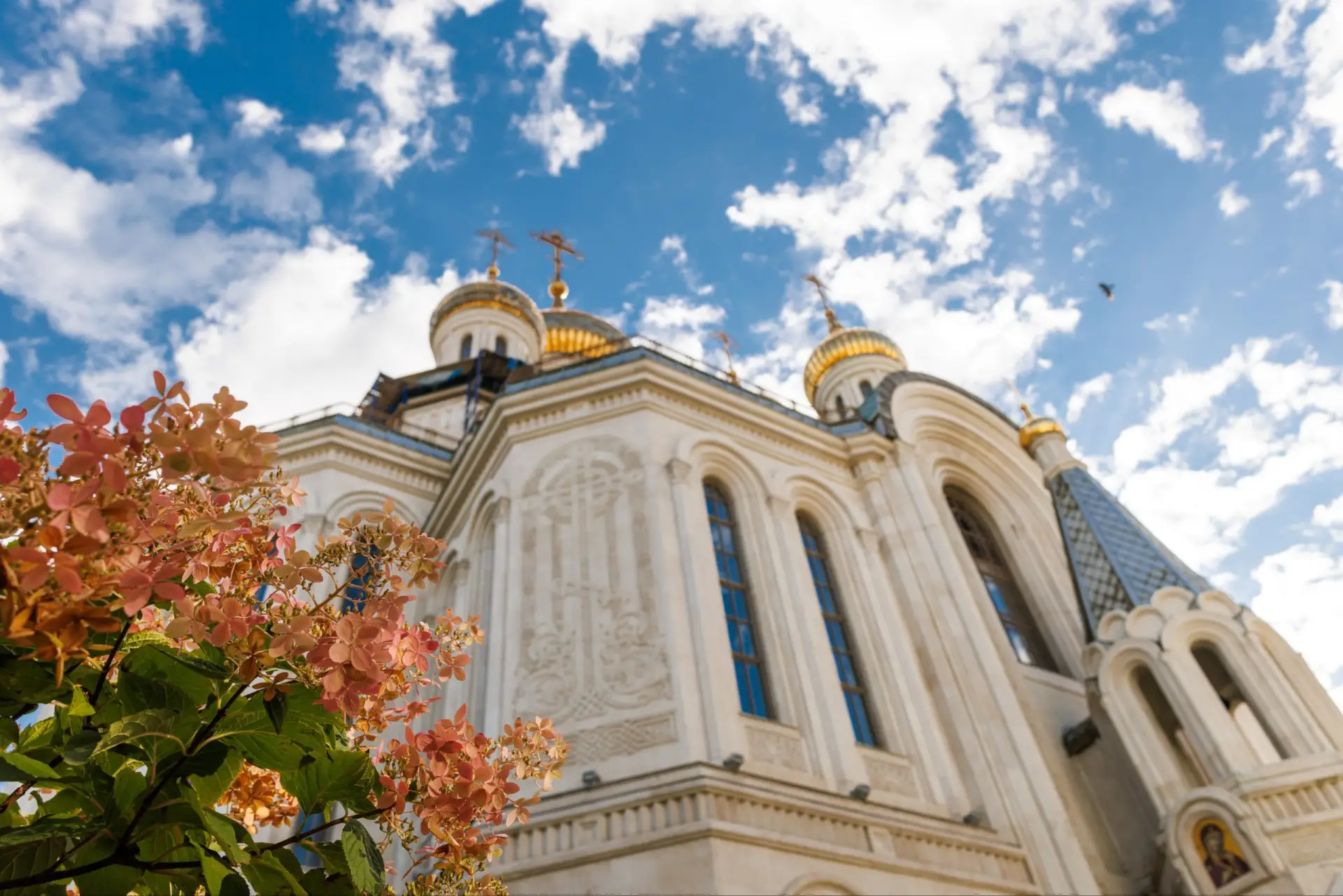 Доброе утро!☀️