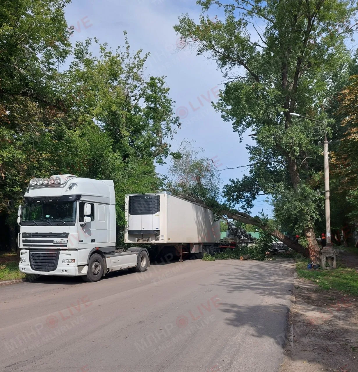 Тополь рухнул на фуру на Звейнека в Луганске.

Проезд был перекрыт, но, вероятно, уже всё убрали.

@