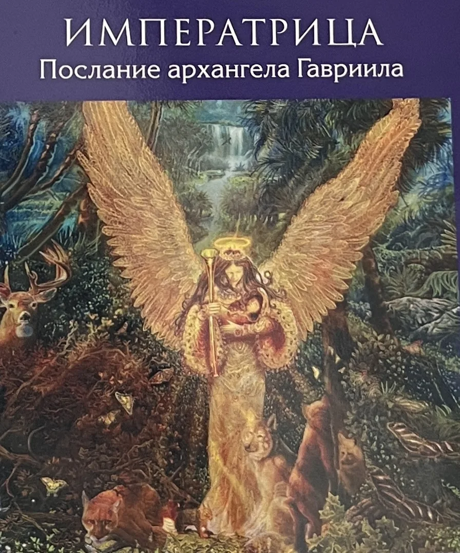 КАРТА ДНЯ