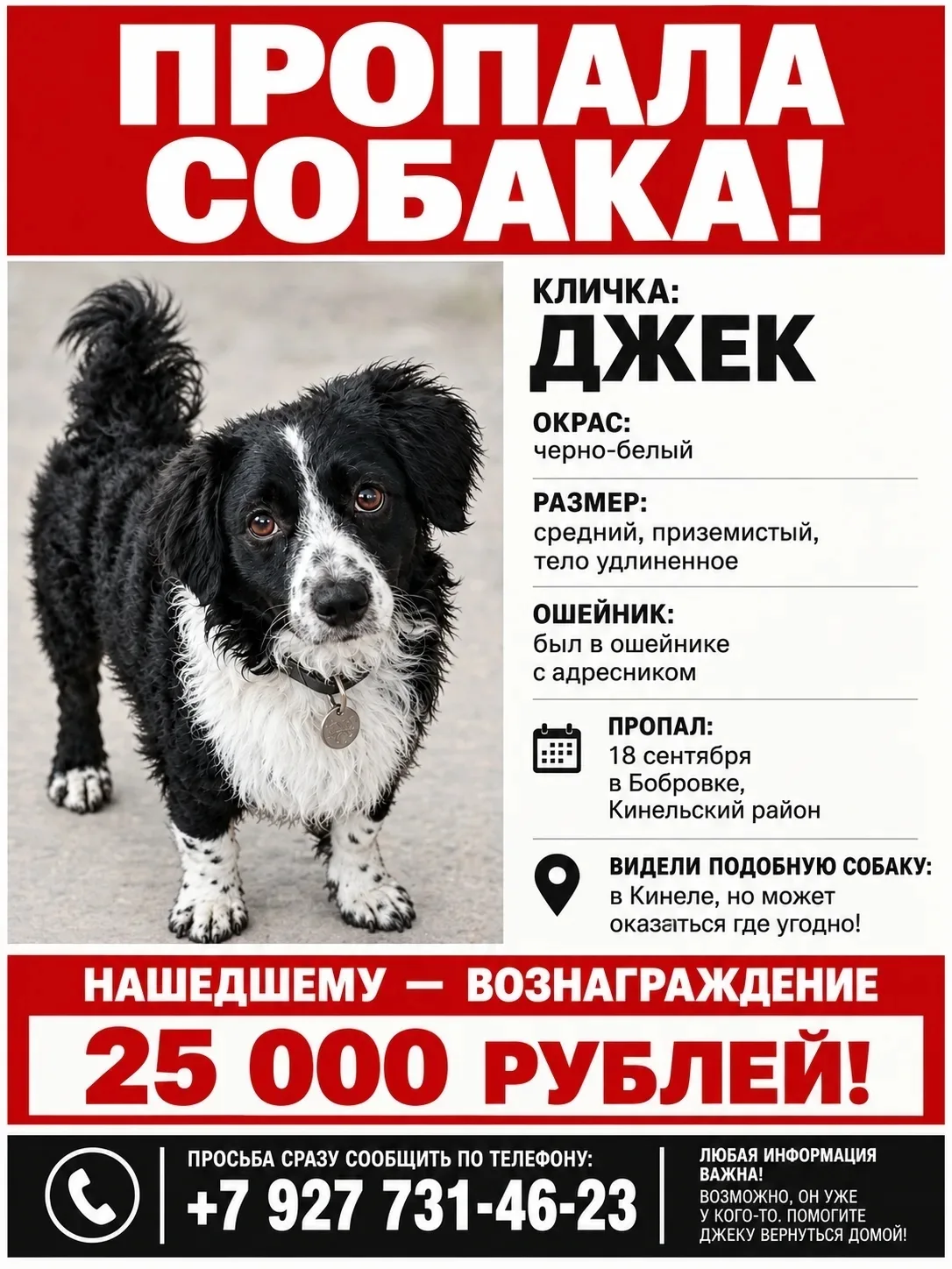 Объявления Отрадный Кинель-Черкассы vk.ru/naodo