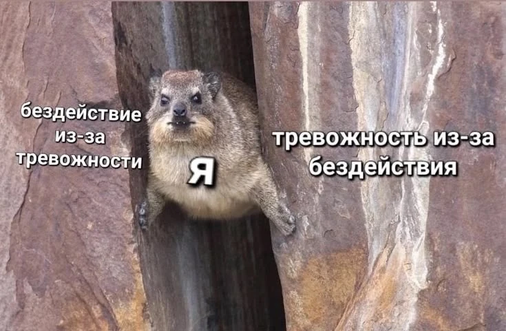 Уровни тревоги😂