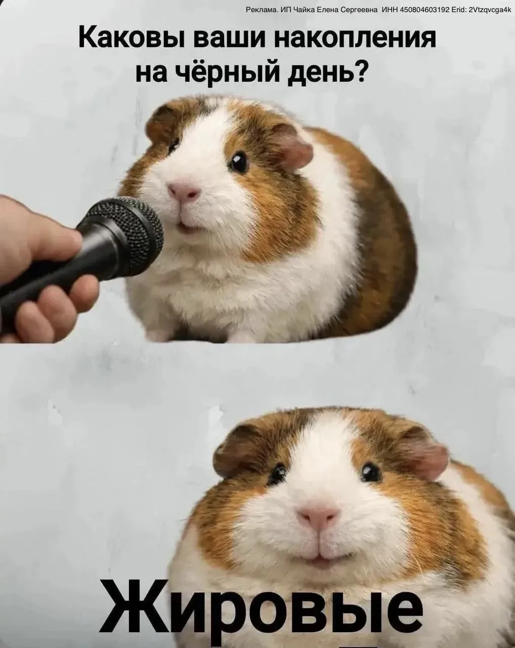 Вы никогда не купите квартиру без кредитов и ипотек!