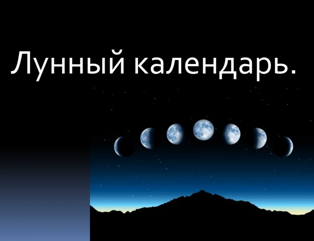 🌕 Сеять по Луне или по погоде? Разбираемся без мистики и лишних споров! 🌱