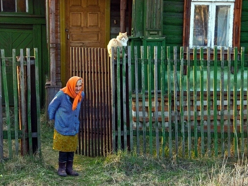 Старушка с трудом встала с кровати. По стенке дошла до двери. В сенях захватила чашку с накрошенным 
