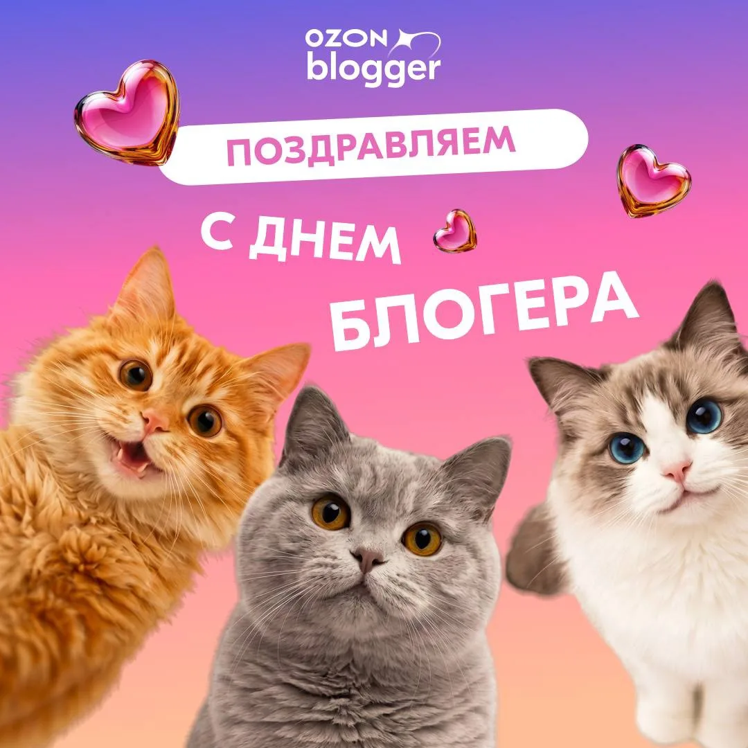 Тексты — до мурашек, видео — до слёз, темы — в самое сердце!

Быть блогером — это не просто пилить п