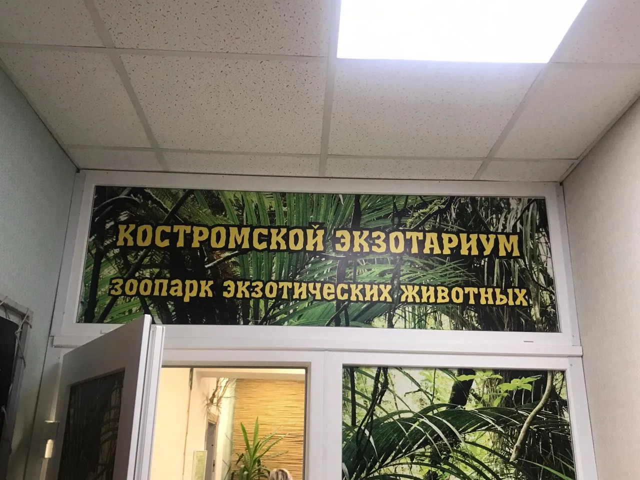 Сегодня наши ученики посетили экзотариум.