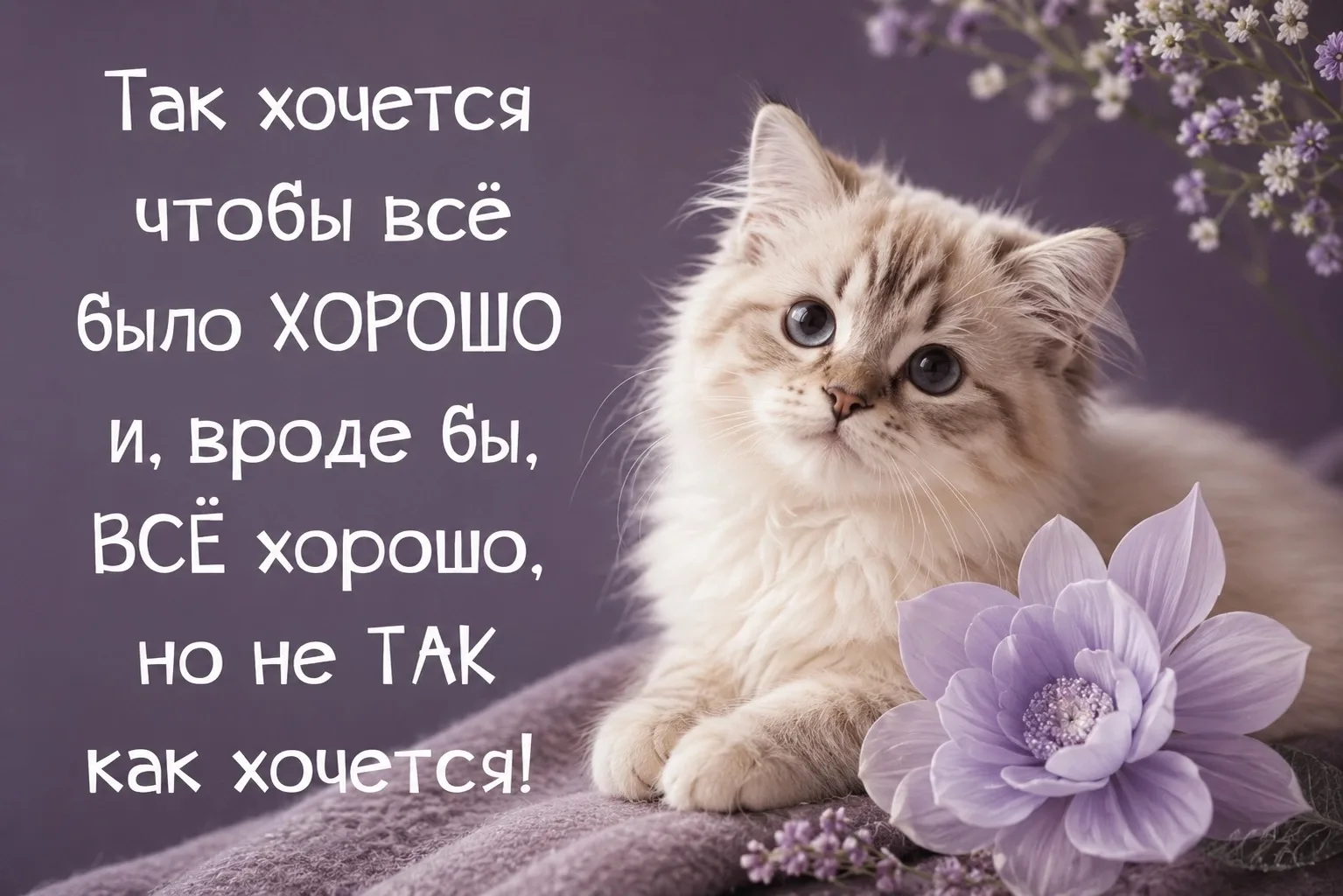 Пусть у нас с вами всё будет хорошо и именно так, как хочется!😉