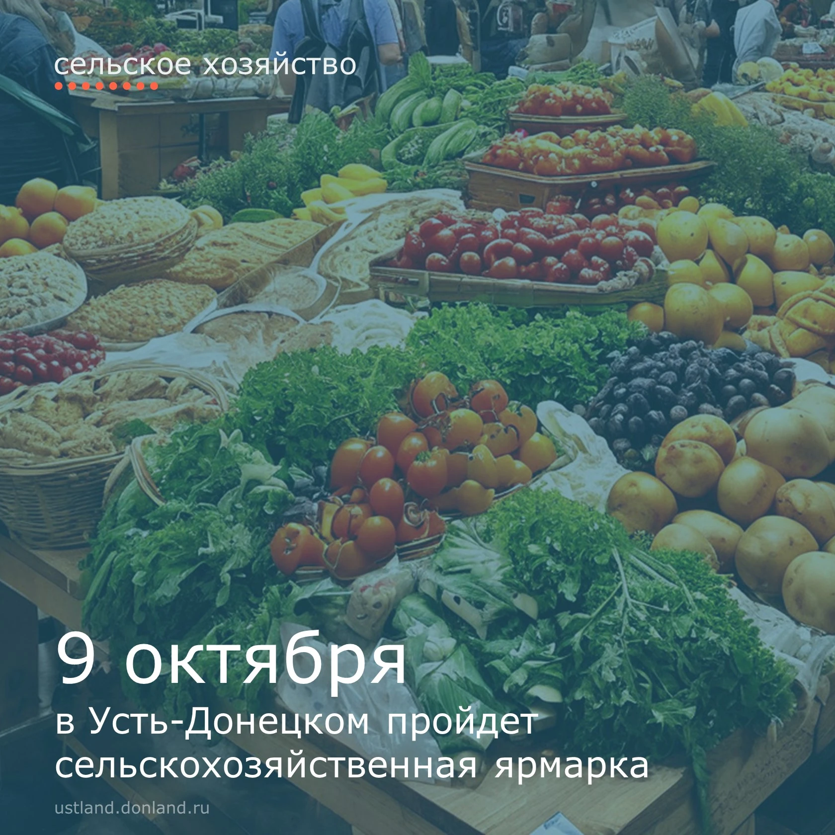 9 октября в поселке Усть-Донецком пройдет сельскохозяйственная ярмарка.