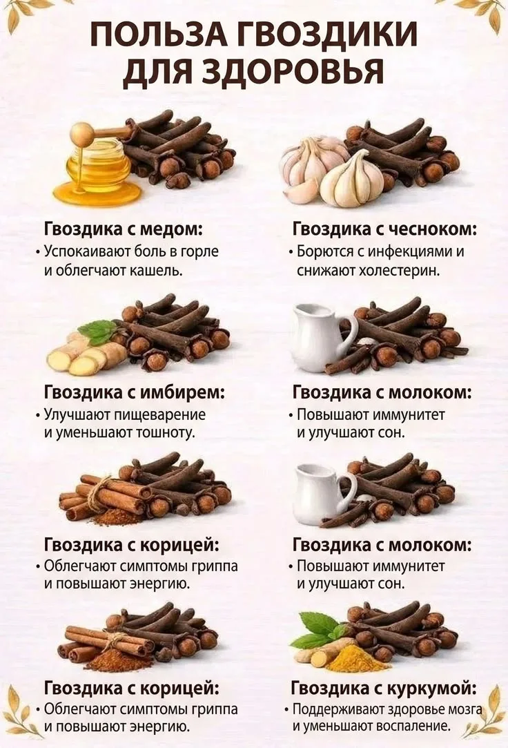 ☘Но я всегда помню о главном: как и любая сильная пряность, гвоздика требует уважения. ...