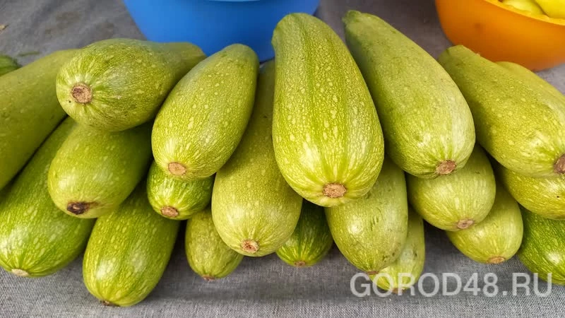 Овощи: дешёвые — привозные, дорогие — местные.