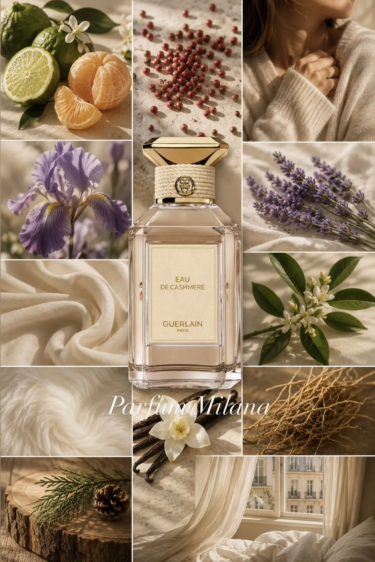 🤍 Eau de Cashmere Guerlain — аромат мягкости, чистоты и тихой роскоши.