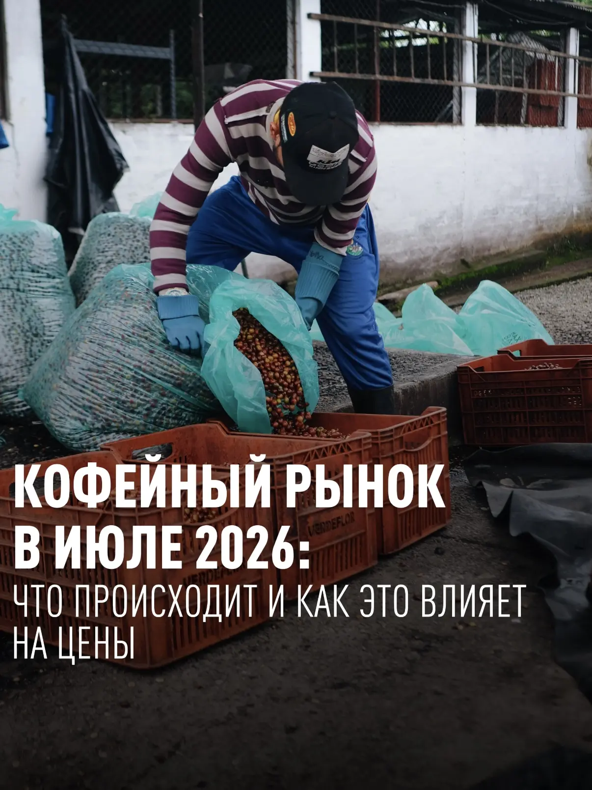 Последние несколько лет кофейный рынок переживает турбулентность. Рассказываем, что сей...
